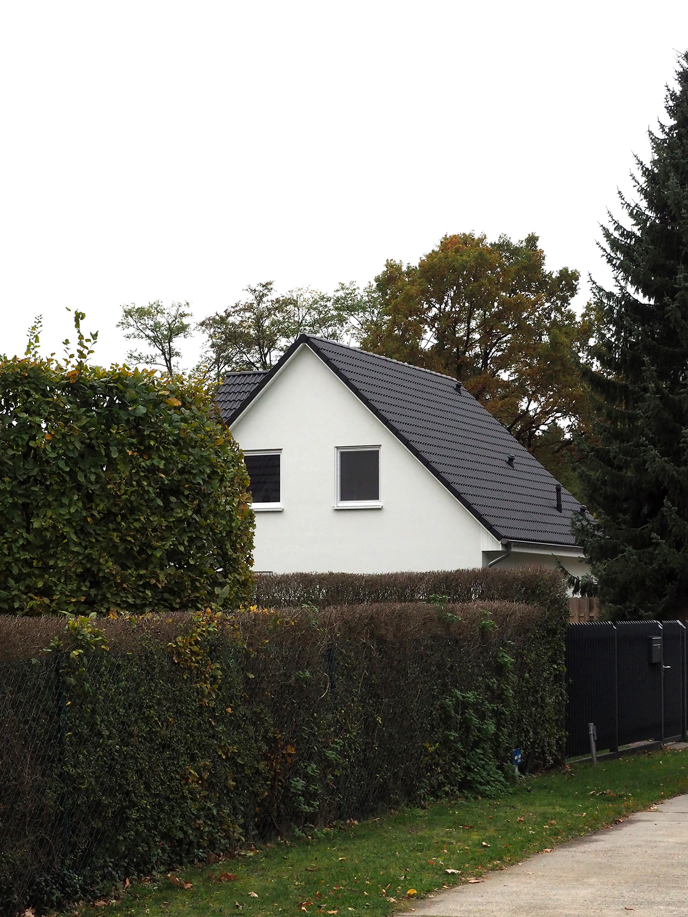 Einfamilienhaus hinter einer Hecke