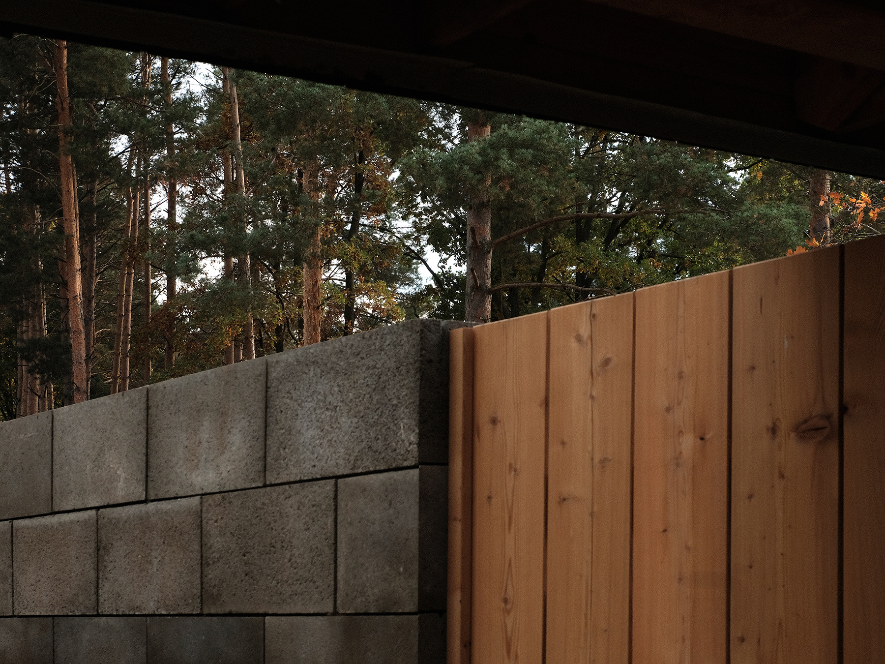 Mauer in der Natur mit einem Holztor